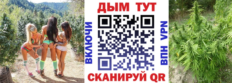 это наркотические препараты хочу наркоту Байкальск МАРИХУАНА VHQ